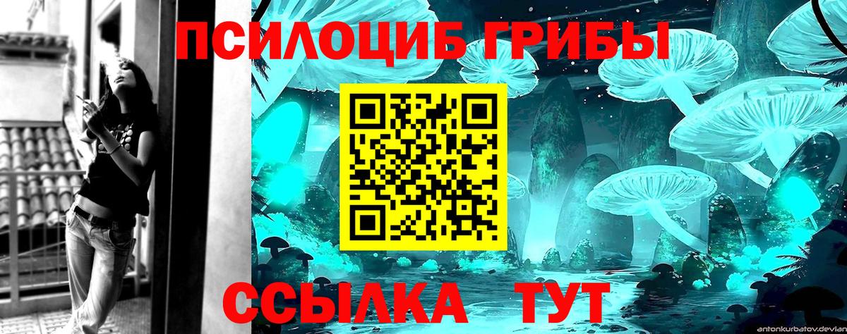 Псилоцибиновые грибы мицелий Хабаровск