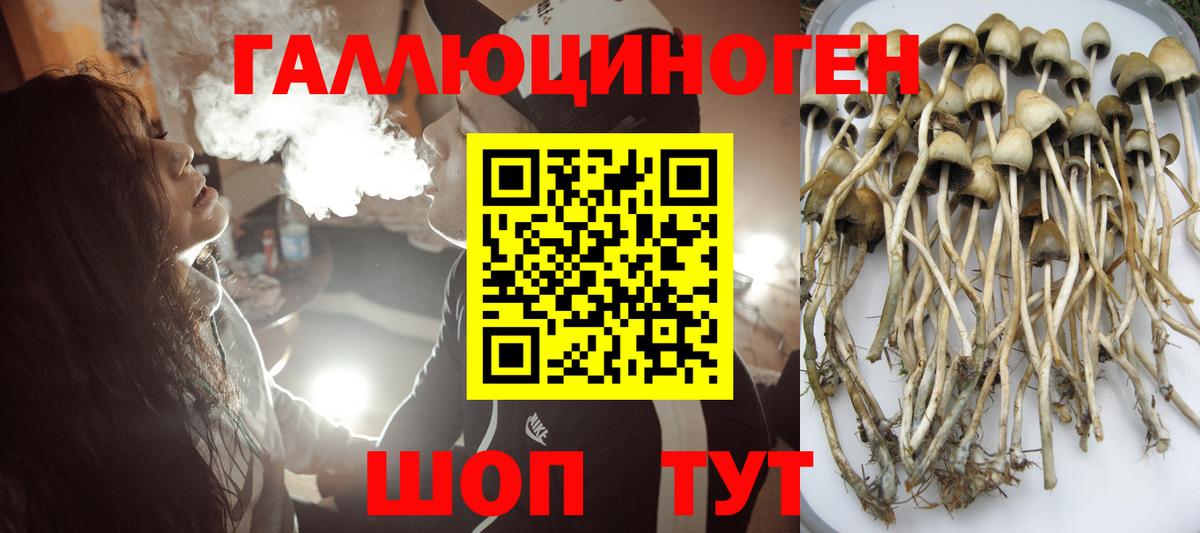 Хабаровск  Галлюциногенные грибы MAGIC MUSHROOMS  цена   Вход с VPN 